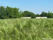 parcele teren extravilan 