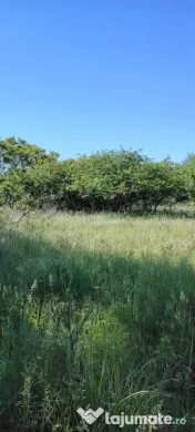 parcele teren extravilan 