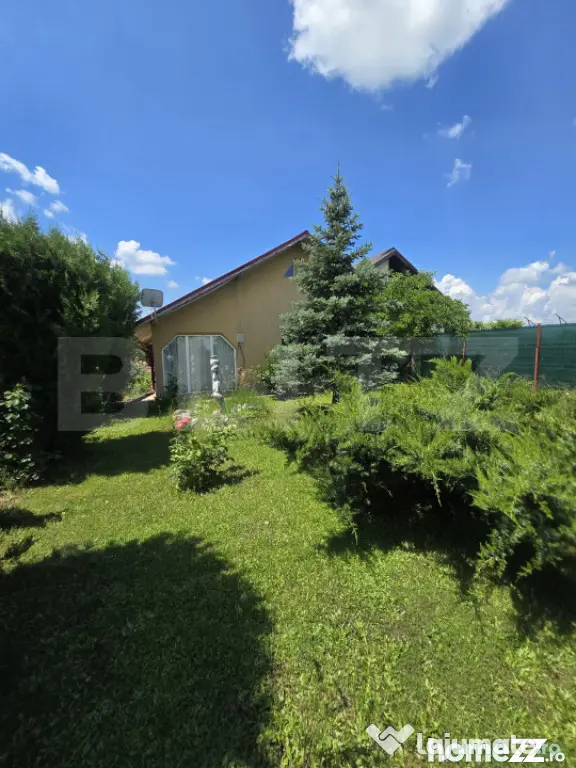 Casă și curte, 124 mp, 1.000 mp, zona Mircea Voda - Mircea Voda (Dambovita)