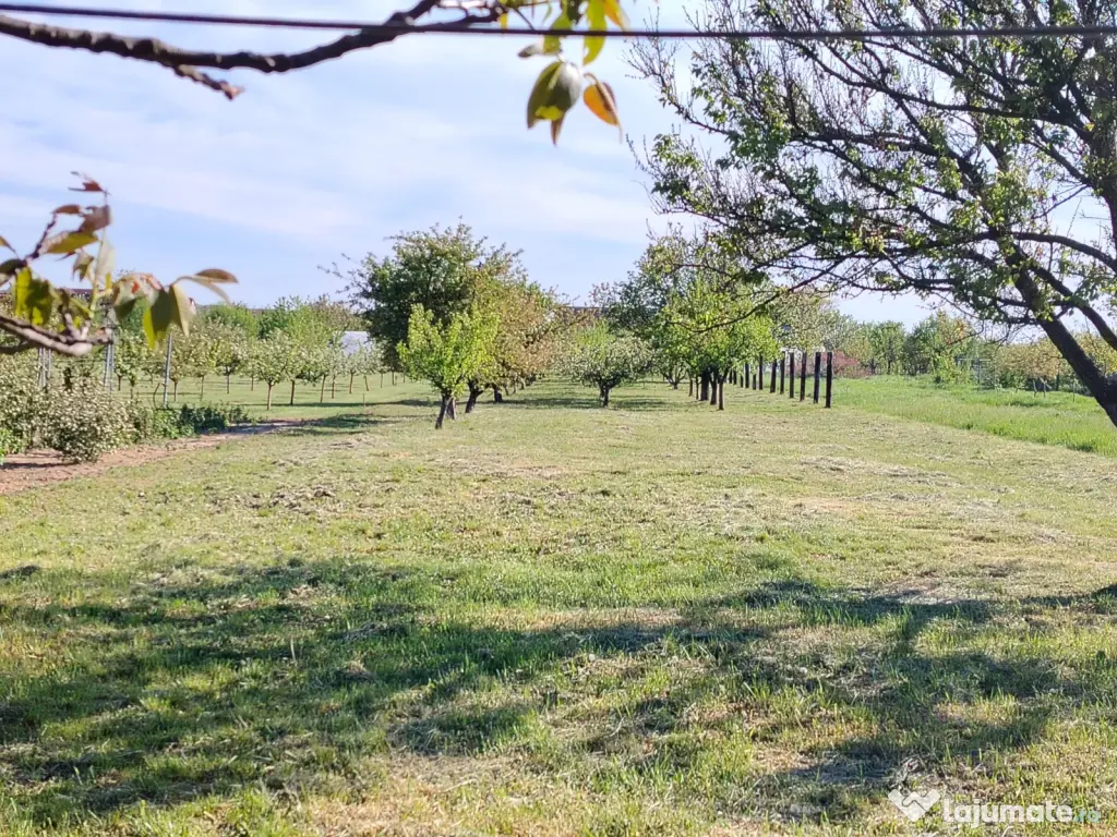 De vânzare proprietate spațioasă,ideală pentru doua familii. Haieu Bihor
