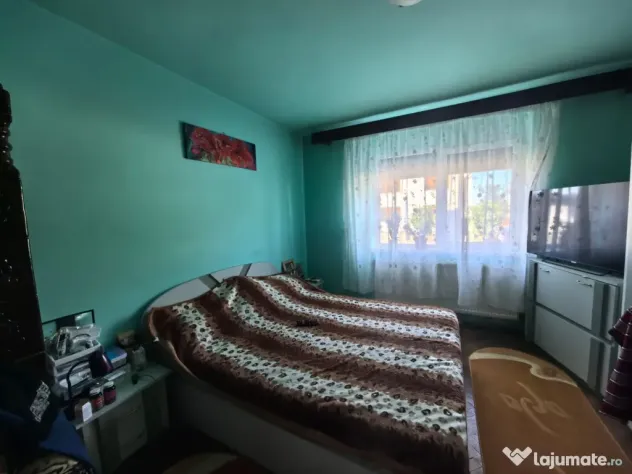 De vânzare proprietate spațioasă,ideală pentru doua familii. Haieu Bihor