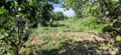 Teren 616 mp, Bariera Valcii, zona Toamnei-Carpenului 