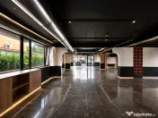 Spatiu comercial premium 350 mp Erou Iancu Nicolae 