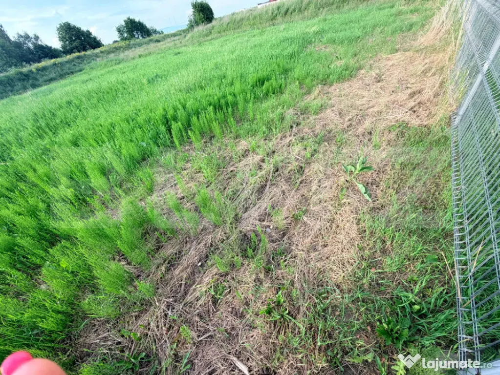 Teren intravilan de vânzare – Stupini 88.000 eur 1200 mp.