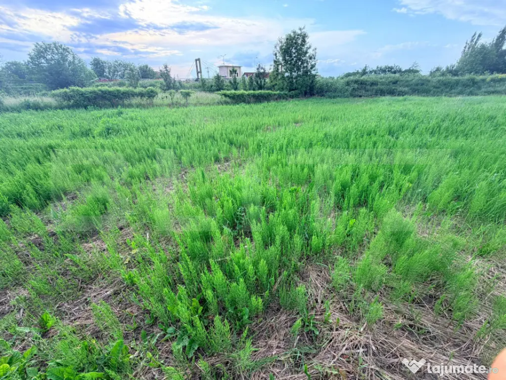 Teren intravilan de vânzare – Stupini 88.000 eur 1200 mp.