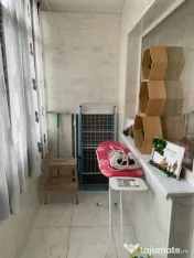 Apartament 2 camere, 55 mp, zona Bals