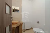 Berceni Vila Individuala cu Teren de 1000 mp si Iaz 