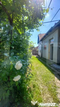 Spatiu comercial central I Vitrina stradala I Curte, Pivnita