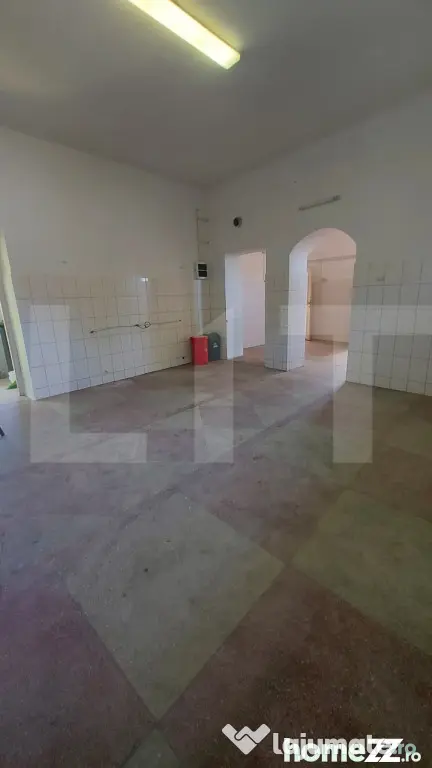 Spatiu comercial central I Vitrina stradala I Curte, Pivnita - Sfantu Gheorghe (Covasna)