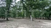 Teren extravilan 16607 mp lângă Geoagiu Băi oportunitate 