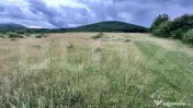 Teren extravilan 16607 mp lângă Geoagiu Băi oportunitate 
