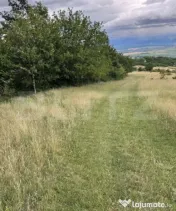 Teren extravilan 16607 mp lângă Geoagiu Băi oportunitate 