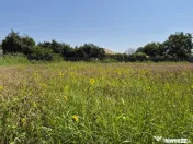 Teren 1.570mp la strada principală, dublă deschidere, Ciof 