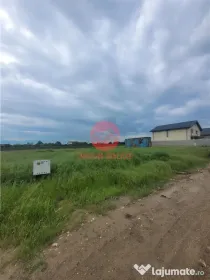 Teren Intravilan, Ovidiu, Spre Poiana 2 loturi de 500 mp fie