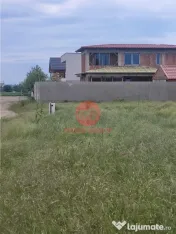 Teren Intravilan, Ovidiu, Spre Poiana 2 loturi de 500 mp fie