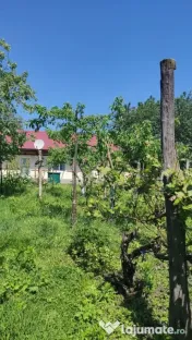 Casă bătrânească în Davideni – curte generoasă de 2. 