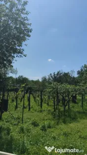 Casă bătrânească în Davideni – curte generoasă de 2. 