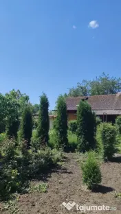 Casă bătrânească în Davideni – curte generoasă de 2. 