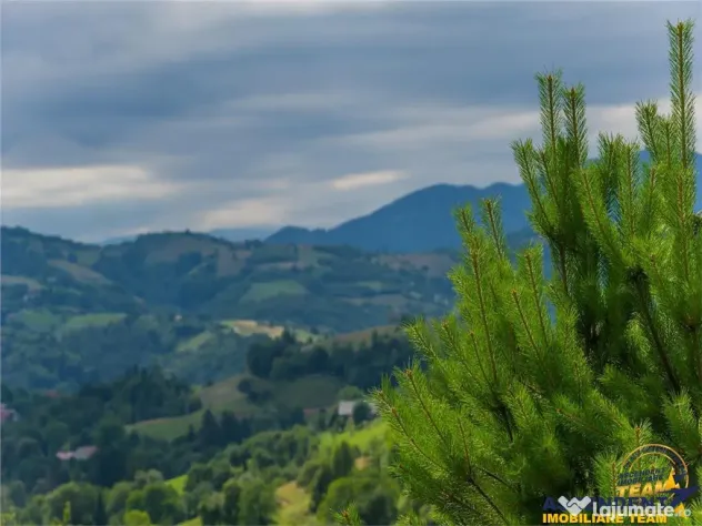 FILM! Cu view panoramic la 360 grade, teren 10.335 mp, Poian
