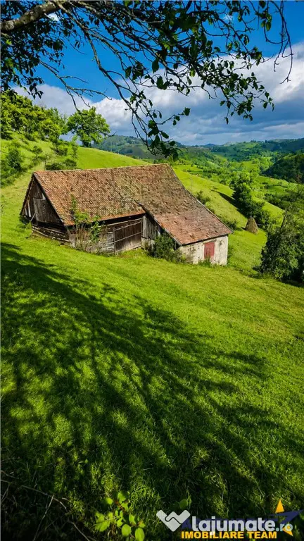 FILM! Cu view panoramic la 360 grade, teren 10.335 mp, Poian
