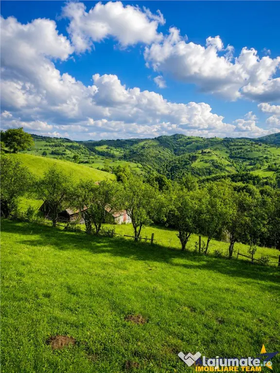 FILM! Cu view panoramic la 360 grade, teren 10.335 mp, Poian