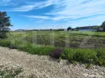 Teren Intravilan de vanzare, 4300 mp, zona plata, in Jucu de
