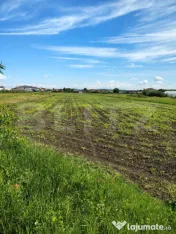 Teren Intravilan 4300 mp, zona plata, in Jucu de Mijloc 