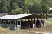 Bogati - Glimbocel, Ferma Zootehnica, Cladiri 1996 mp, Te...