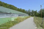 Bogati - Glimbocel, Ferma Zootehnica, Cladiri 1996 mp, Te...