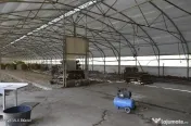 Bogati - Glimbocel, Ferma Zootehnica, Cladiri 1996 mp, Te...