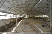 Bogati - Glimbocel, Ferma Zootehnica, Cladiri 1996 mp, Te...