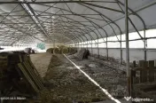 Bogati - Glimbocel, Ferma Zootehnica, Cladiri 1996 mp, Te...