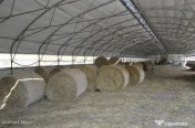 Bogati - Glimbocel, Ferma Zootehnica, Cladiri 1996 mp, Te...