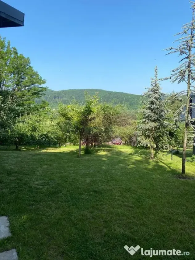 Cabane A frame + Teren 6000 mp | Proprietate deosebita, NOU