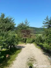 Cabane A frame + Teren 6000 mp | Proprietate deosebita, NOU 