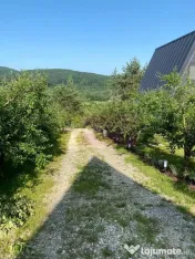 Cabane A frame + Teren 6000 mp | Proprietate deosebita, NOU 