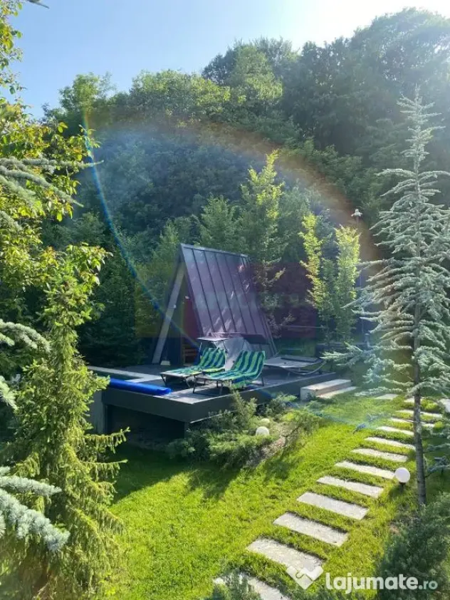 Cabane A frame + Teren 6000 mp | Proprietate deosebita, NOU