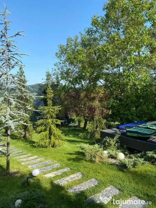 Cabane A frame + Teren 6000 mp | Proprietate deosebita, NOU
