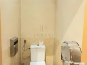Spatiu Comercial amenajat modern - Badea Cartan