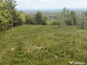 Oportunitate! Teren intravilan 14 arii - Buzesti 