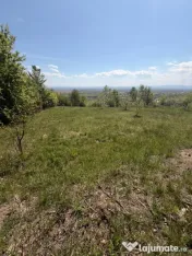 Oportunitate! Teren intravilan 14 arii - Buzesti 