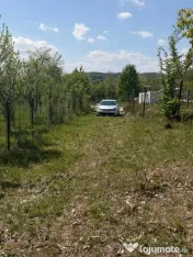 Oportunitate! Teren intravilan 14 arii - Buzesti 