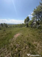 Oportunitate! Teren intravilan 14 arii - Buzesti 