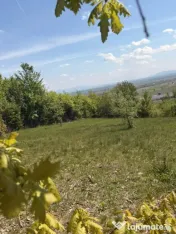 Oportunitate! Teren intravilan 14 arii - Buzesti 