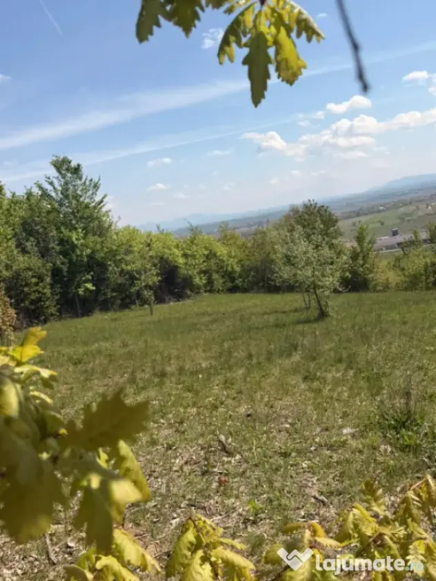Oportunitate! Teren intravilan 14 arii - Buzesti