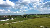 Teren Intravilan 2000 mp Dumbraveni Suceava