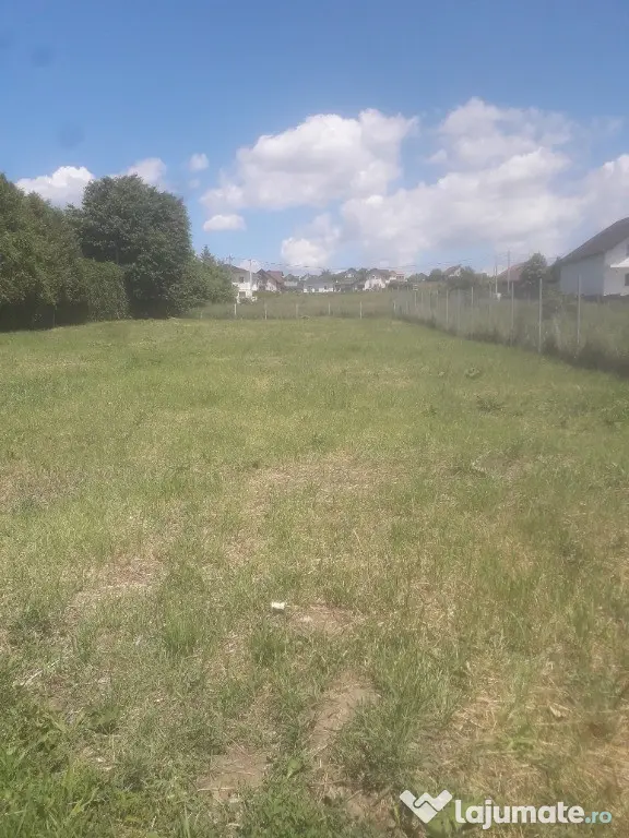 Teren Intravilan Zona Scheia - Intrare