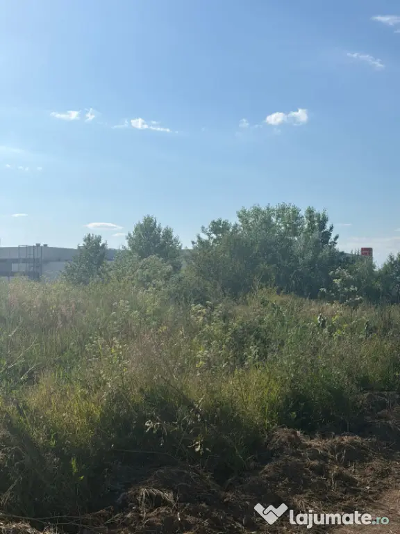 Teren de 5000mp intravilant la iesirea din Filiasi ,la inter