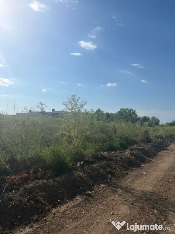 Teren de 5000mp intravilant la iesirea din Filiasi ,la inter