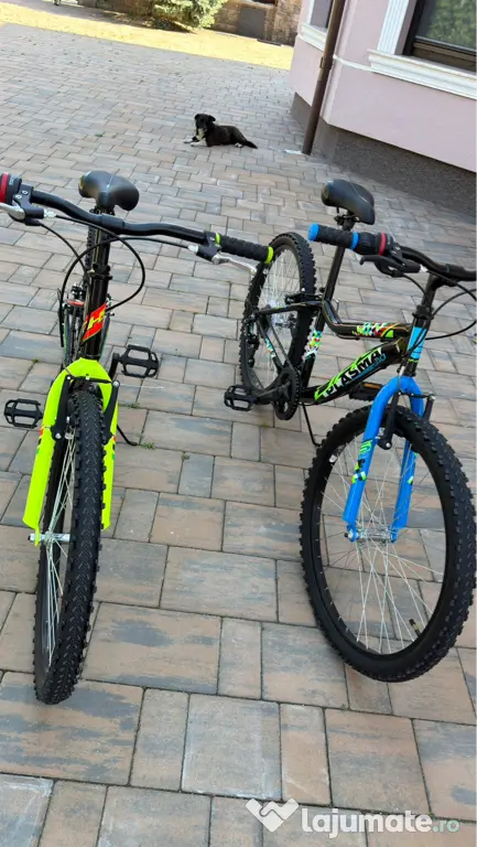Biciclete DHS 24